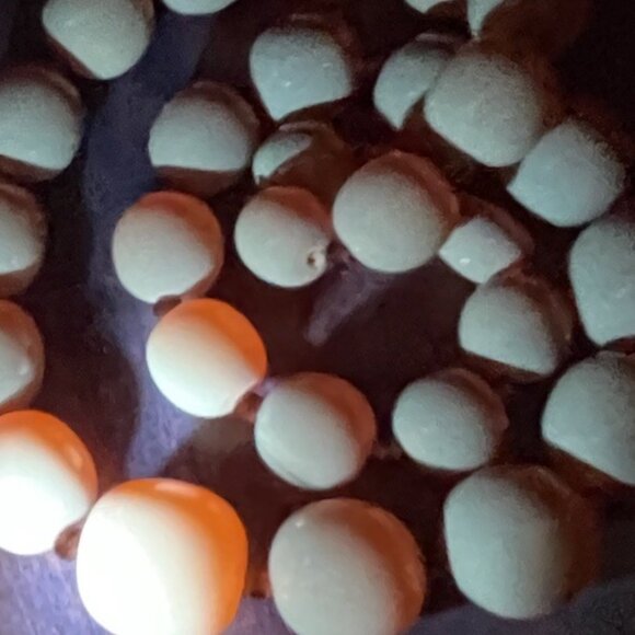 Antique Genuine Baltic Amber Egg Yolk Butterscotch Caramel Necklace Barrel Clasp - Picture 9 of 15